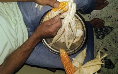 Una juventud nada fácil.