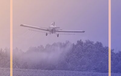 La paz: entre la sustitución voluntaria y el glifosato