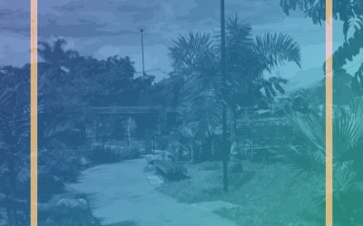 Medellín, más participación para su transformación