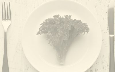 El PAE: un programa que aún no se sirve bien